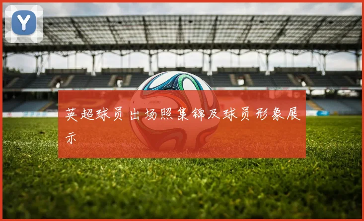 英超球员出场照集锦及球员形象展示