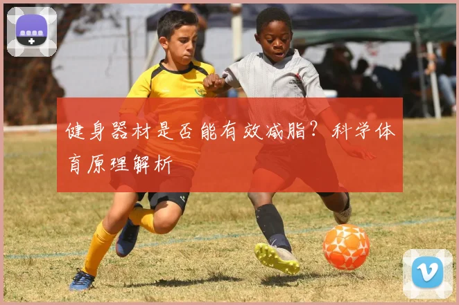 健身器材是否能有效减脂？科学体育原理解析