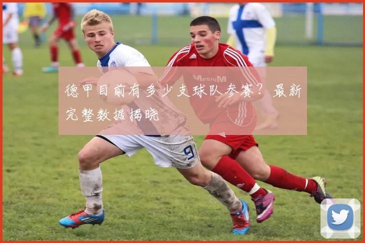 德甲目前有多少支球队参赛?最新完整数据揭晓